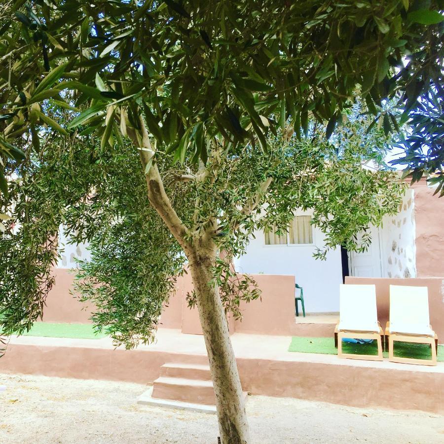 Olive Bungalow Gran Tarajal Exterior foto