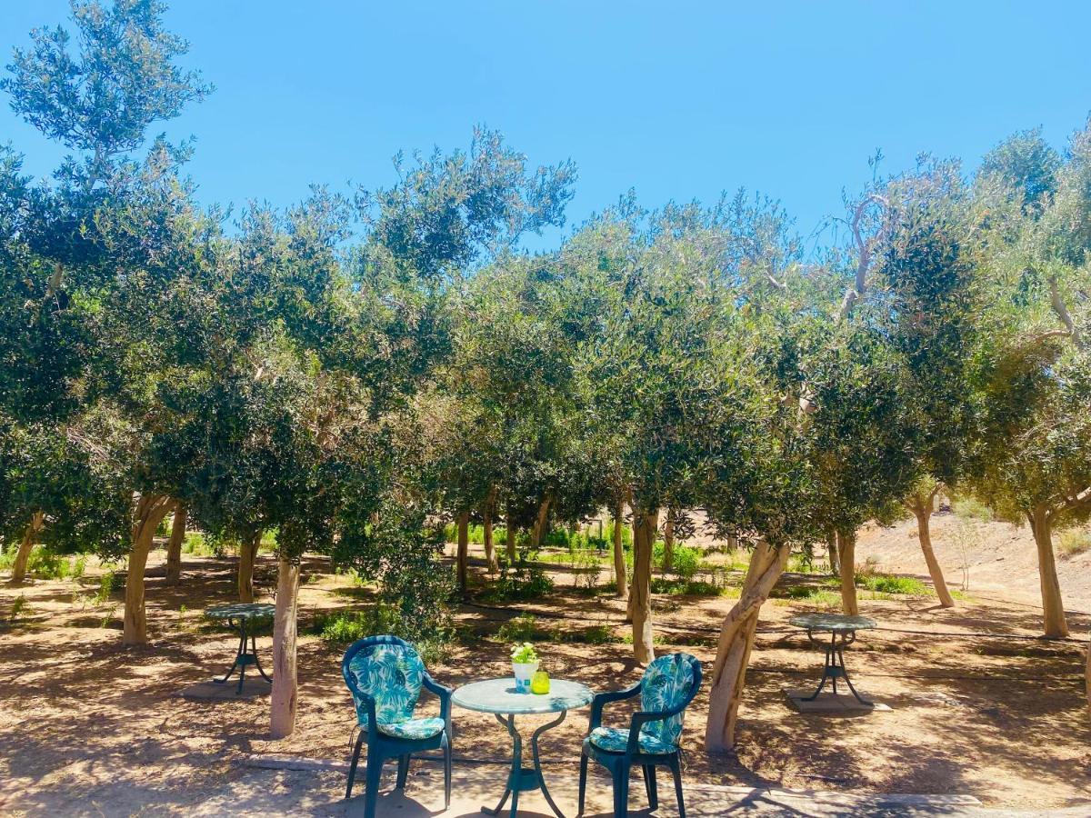 Olive Bungalow Gran Tarajal Exterior foto